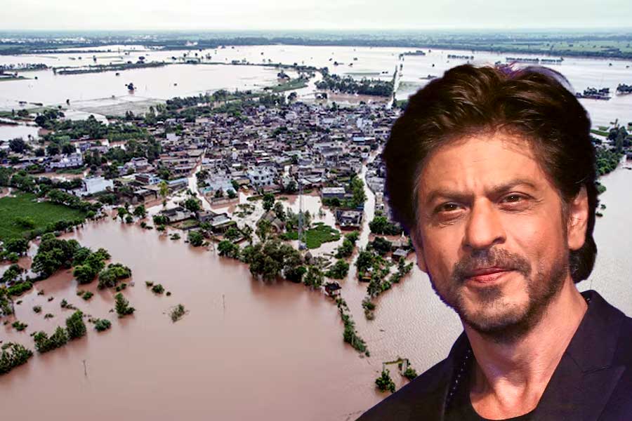 বানভাসি পাঞ্জাবের ১৫০০ পরিবার দত্তক নিলেন শাহরুখ, ‘নিঃশব্দে’ই মানবসেবা বাদশার