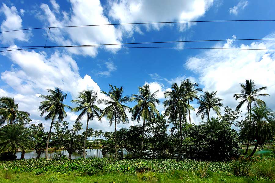 রোদ ঝলমলে আবহাওয়ার মাঝেও নিম্নচাপের চোখরাঙানি, ৭ জেলায় বৃষ্টির পূর্বাভাস