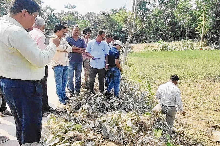 ডলোমাইট মিশ্রিত পলির কতটা প্রভাব আলিপুরদুয়ারে? পরিদর্শন করে গেলেন বিশেষজ্ঞরা