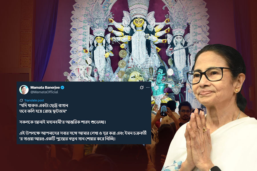 ‘যদি থাকত একটা ছোট্ট বাগান…’ মহানবমীর শুভেচ্ছা জানিয়ে নিজের গান শেয়ার করলেন মুখ্যমন্ত্রী