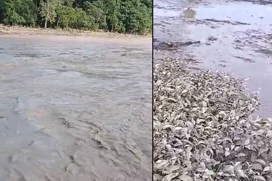 উত্তরবঙ্গে বন্যার দোসর দূষণ! ভুটানের বৃষ্টির জলে ধুয়ে ছড়াচ্ছে ডলোমাইটের ‘বিষ’