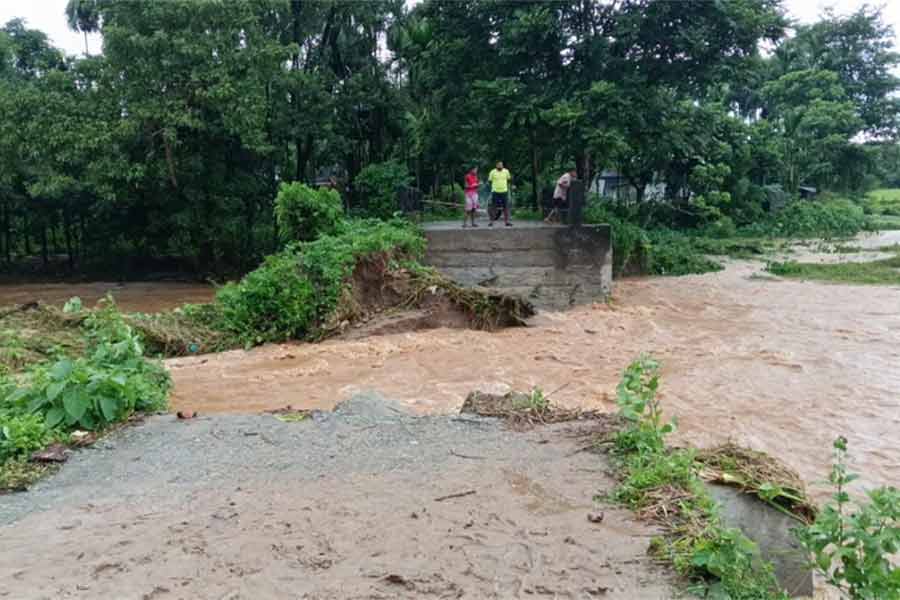 শীতের আগে ডুয়ার্সে বৃষ্টি বিপর্যয়, জলের তলায় চা বাগান, ব্যাপক ক্ষতির আশঙ্কা