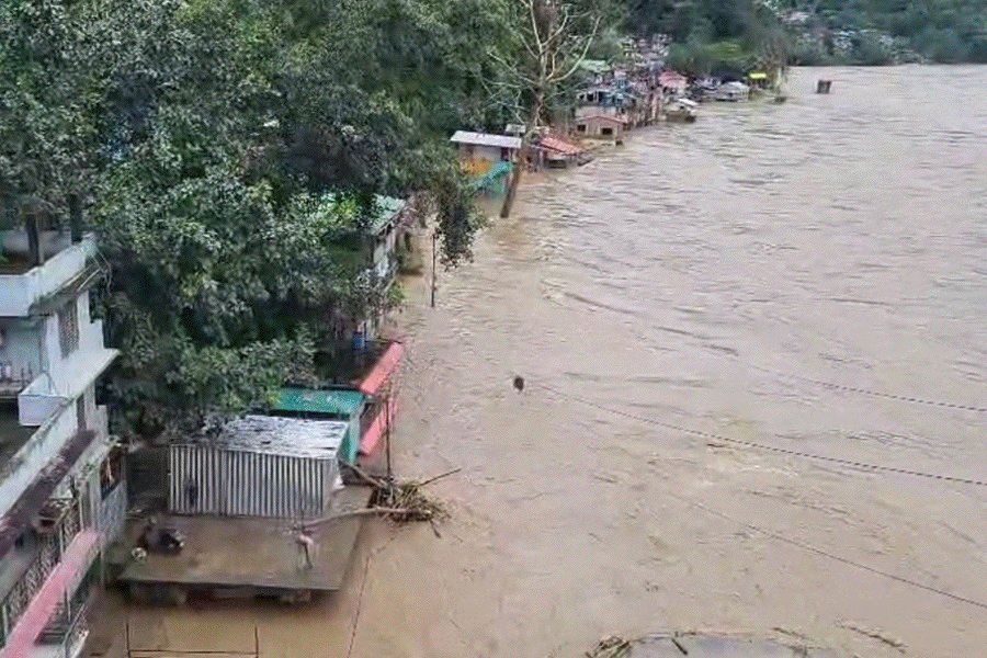 বৃষ্টিতে তছনছ উত্তরবঙ্গ! জলদাপাড়ায় জলে ভেসে গেল গণ্ডার, দেখুন দুর্যোগ-চিত্র