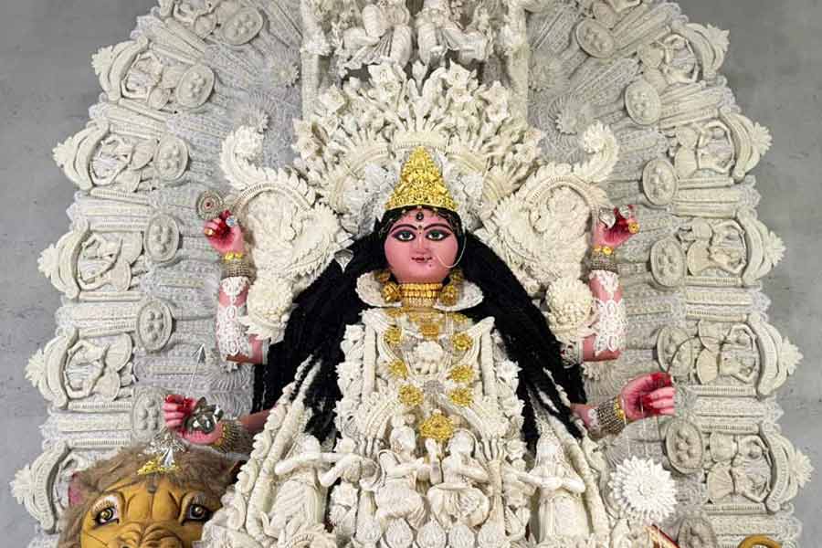 সংসারের শ্রীবৃদ্ধি চান? জগদ্ধাত্রী পুজোর নবমীতে এই কাজগুলি করতে ভুলবেন না