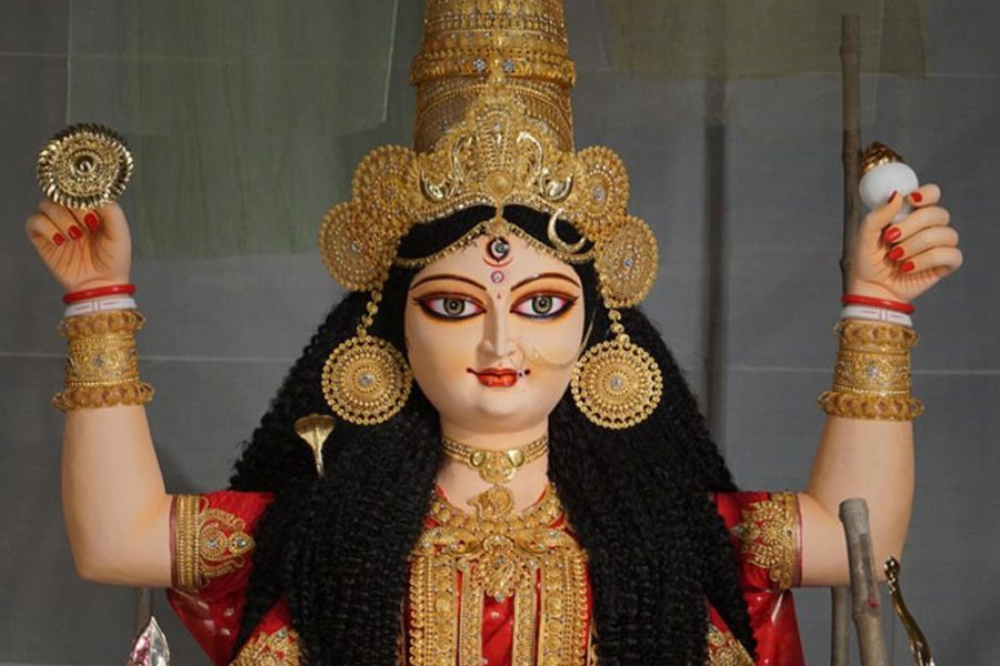 অশোকনগরেও জমজমাট জগদ্ধাত্রী, মণ্ডপে মণ্ডপে সিসি ক্যামেরা, দু’দিন শহরে গাড়ির নো এন্ট্রি