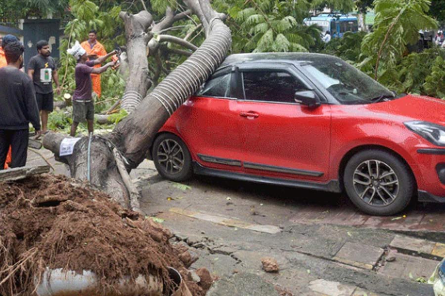 ল্যান্ডফলের পরে তাণ্ডব চালিয়ে এবার দুর্বল হচ্ছে মন্থা! প্রভাব বাংলাতেও
