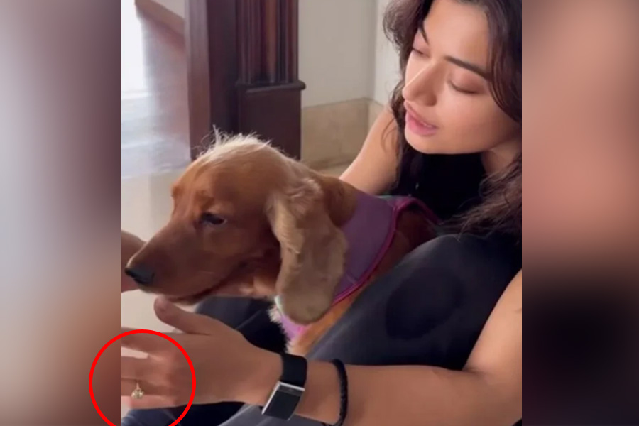 হাতে বাগদানের আংটি! বিজয়কে কবে বিয়ে করছেন রশ্মিকা?