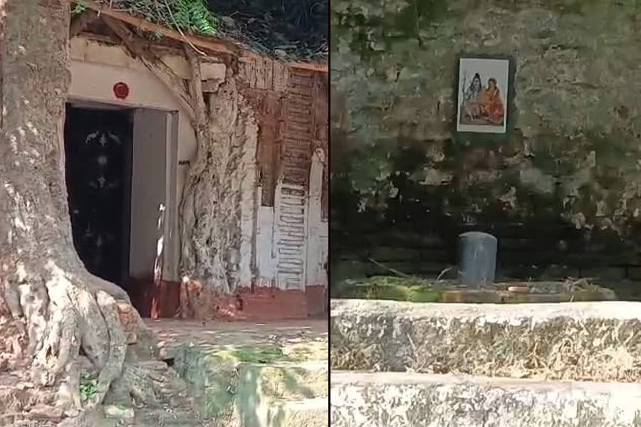 বাইরের আলো নয়, প্রদীপের আলোয় পূজিত হন দক্ষিণ দিনাজপুরের এই প্রাচীন কালী