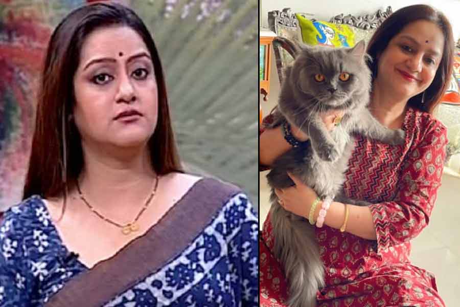 ভাইঝির পোষ্য বিড়াল ‘নিখোঁজ’, কুঁদঘাটের ক্রেশের বিরুদ্ধে সরব অভিনেত্রী সুদীপা