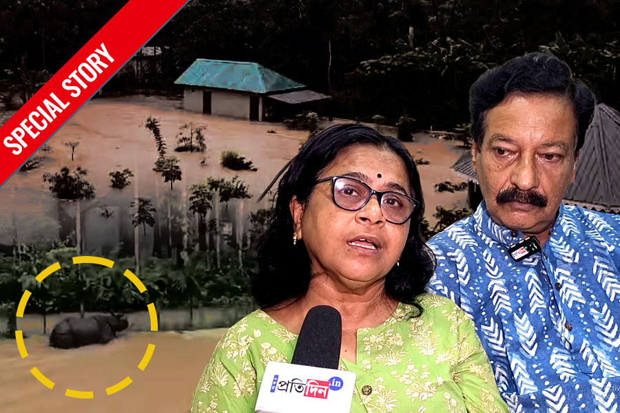 জল-জন্তু-অন্ধকার! ‘পুনর্জন্মে’র ভয়ংকর বর্ণনায় পর্যটক