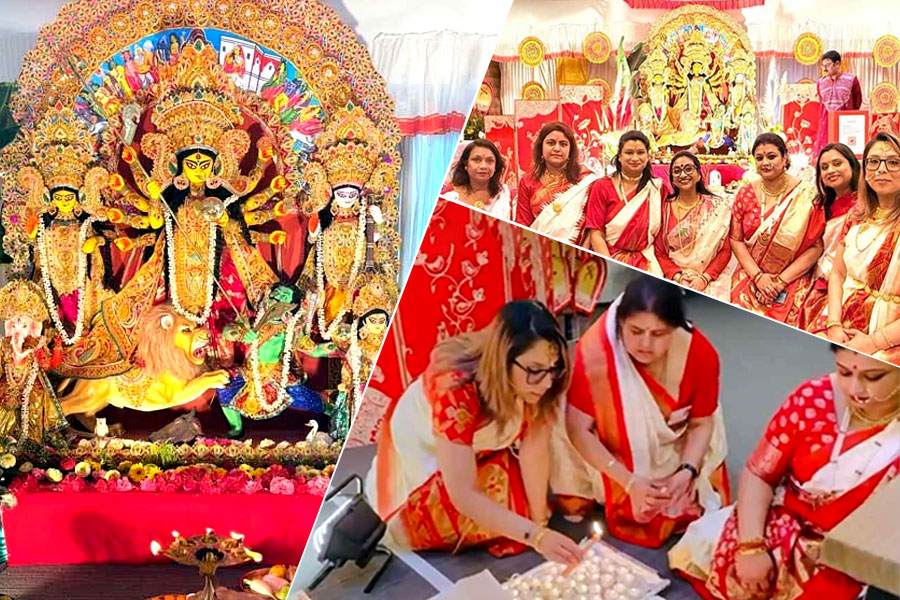 জাপানি ঢাক থেকে চিনা লায়ন ডান্স! ক্রাইস্টচার্চের পুজোয় বাঙালির সঙ্গে মিশে যায় বিশ্বের সংস্কৃতি
