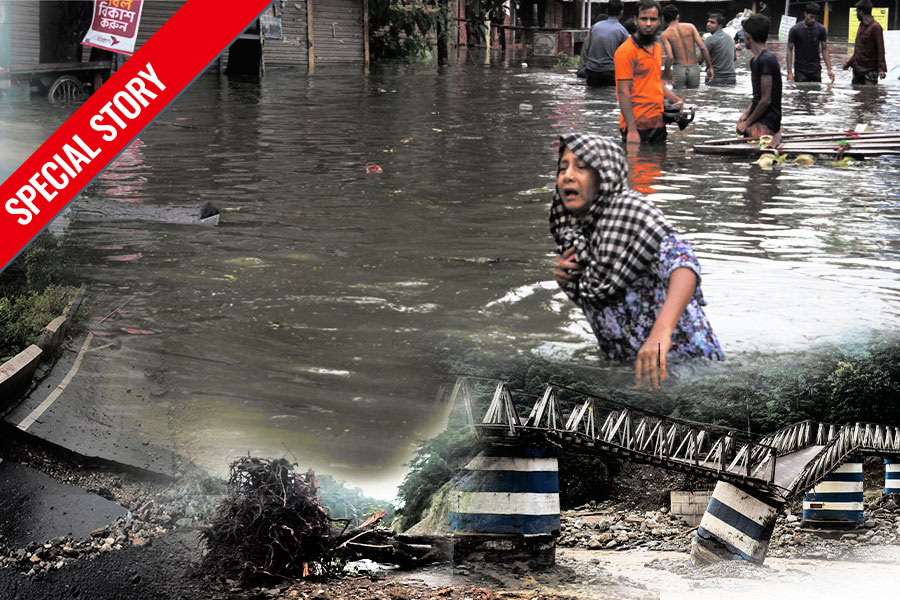মানুষ মেরে হাহাকার, প্রকৃতি ধ্বংসে আসলে দায়ী কে, কী বলছেন বিজ্ঞানীরা?