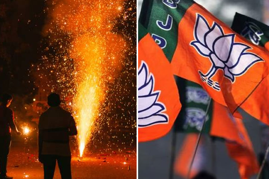 শর্ত সাপেক্ষে NCR এলাকায় বাজি পোড়াতে দেওয়া হোক, সুপ্রিম কোর্টে আবেদন বিজেপি সরকারের
