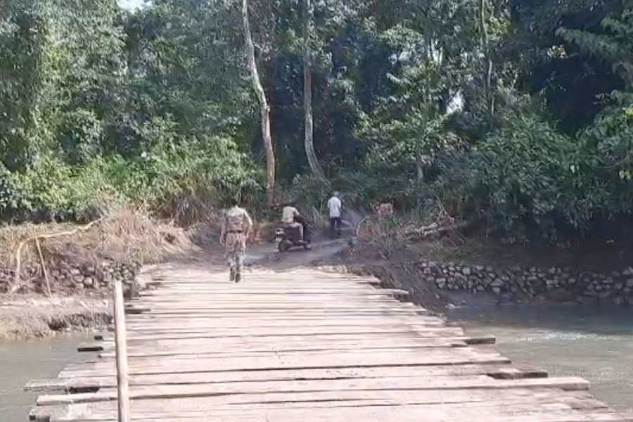 ছন্দে ফিরছে জলদাপাড়া, হলংয়ে নদীতে যুদ্ধকালীন তৎপরতায় তৈরি সেতু, স্বস্তি পর্যটকদের