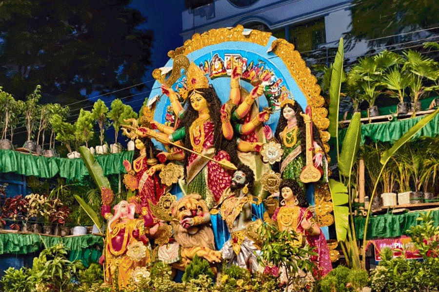 কৈলাসে ফিরেছেন উমা, বিদায়লগ্নে রাজ্যজুড়ে বিসর্জন কার্নিভালের টুকরো ছবি