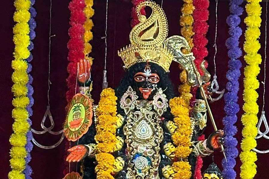 শ্যামা আরাধনায় মাতলেন বাঙালি ডাক্তার দম্পতি! জমজমাট কালীপুজো সুদূর অস্ট্রেলিয়ায়