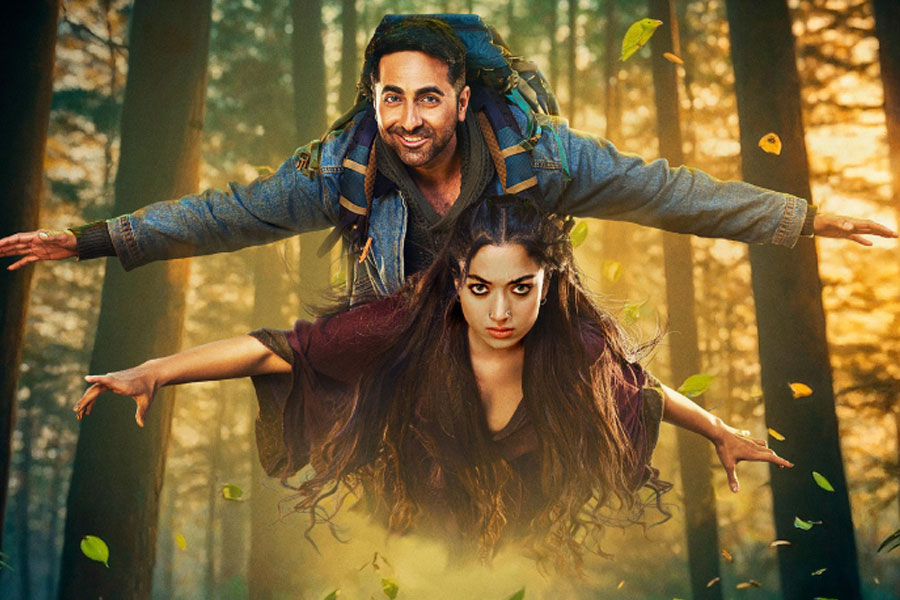 দিওয়ালির বক্স অফিসে বোমা ফাটিয়েই নিস্তেজ ‘থামা’! ‘অধরা’ ১০০ কোটি, কত আয় আয়ুষ্মান-রশ্মিকার ছবির?