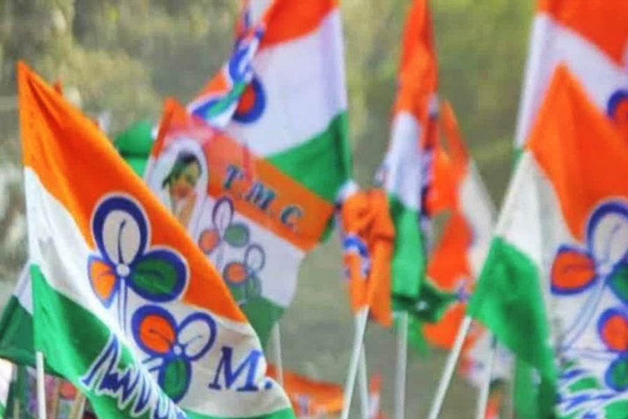 SIR শুনানিতে বৃদ্ধ-অন্তঃসত্ত্বাদের হেনস্তা! সোমে কমিশনের দপ্তরে TMC প্রতিনিধি দল