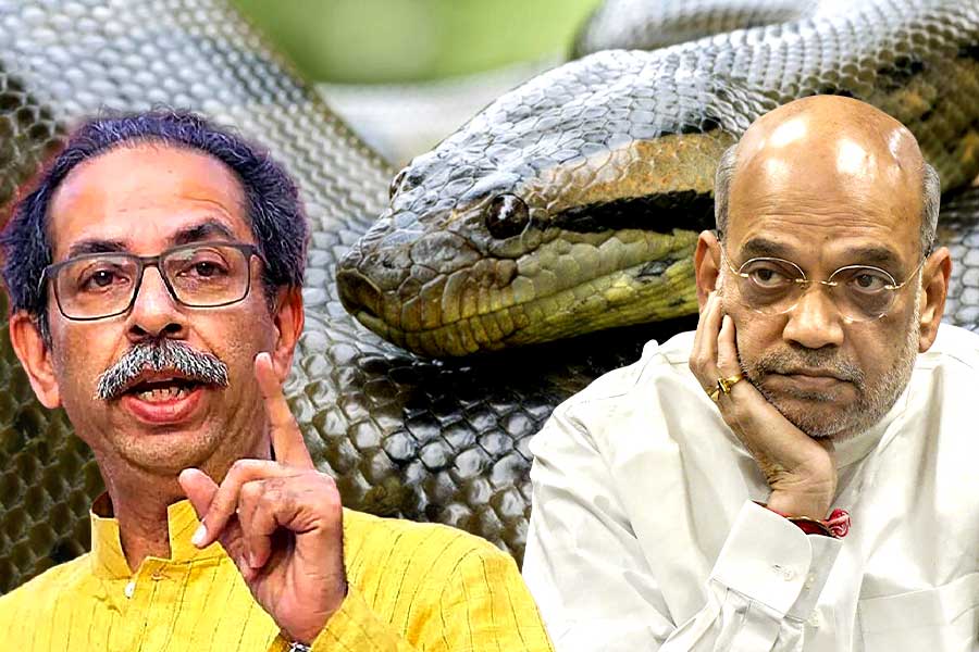 ‘মুম্বইকে গিলে ফেলবে’, স্বরাষ্ট্রমন্ত্রী অমিত শাহকে ‘অ্যানাকোন্ডা’র সঙ্গে তুলনা উদ্ধব ঠাকরের