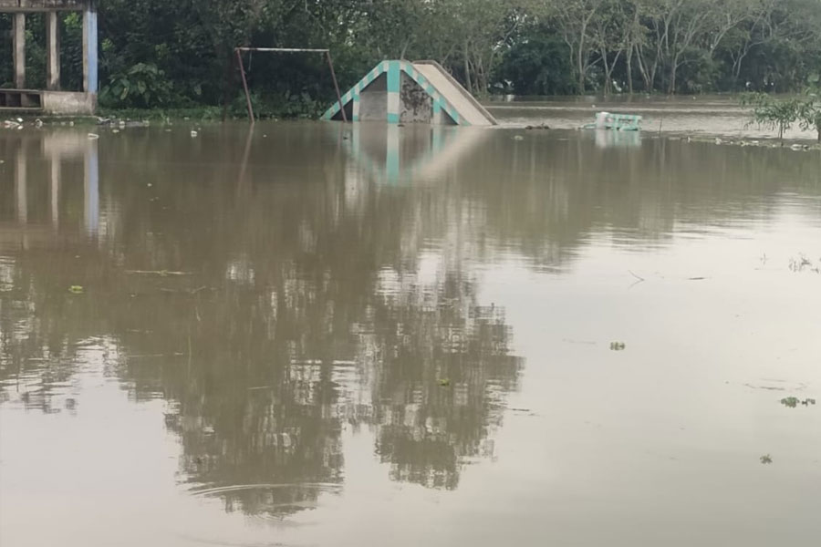 ডিভিসির ছাড়া জলে ডুবেছে উলুবেড়িয়ায় দু’হাজার বিঘা ধানজমি! মাথায় হাত কৃষকদের