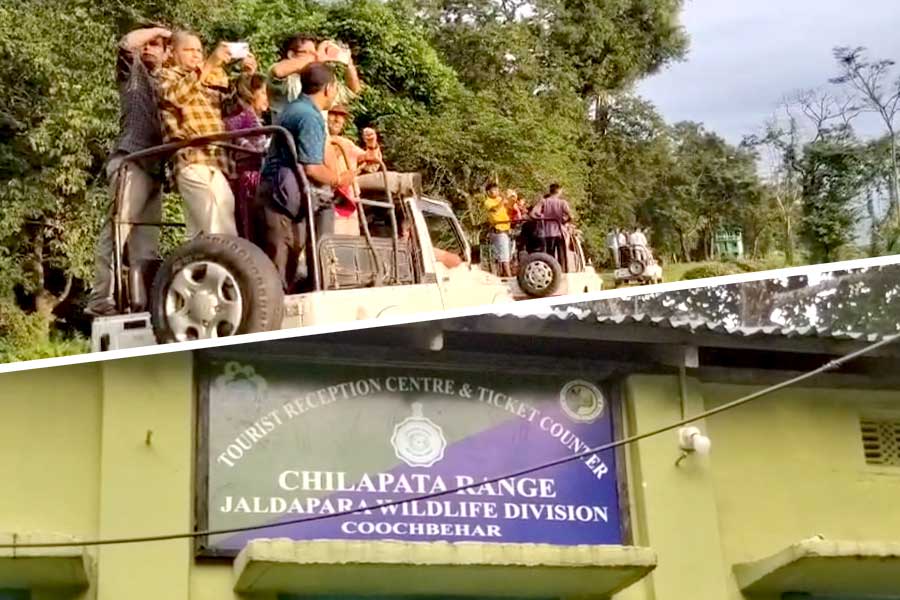 দুর্যোগ কাটিয়ে খুলল জলদাপাড়া জাতীয় উদ্যান, প্রথম দিনই পর্যটকদের ভিড়