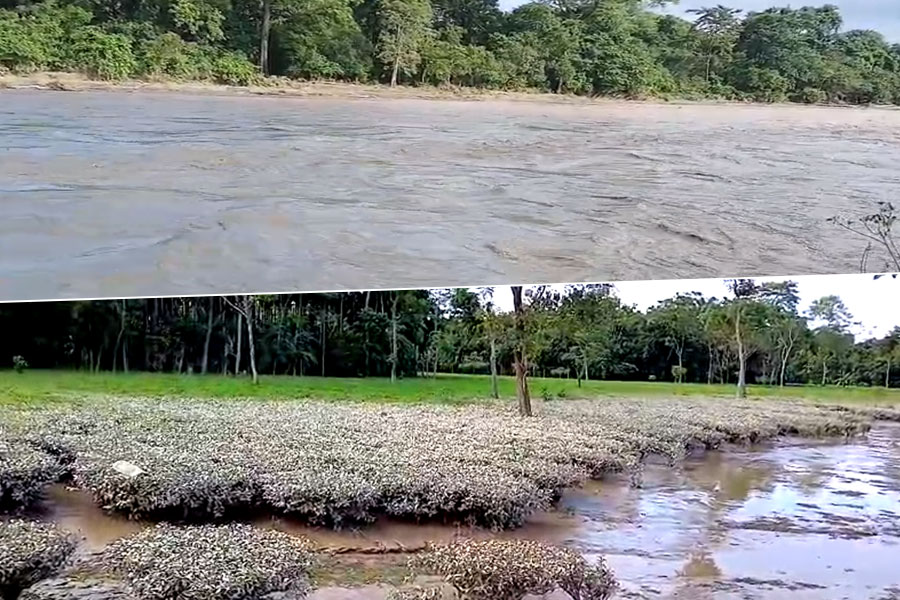 দুর্যোগে ৩৩৬ বিঘা জমির সবজি নষ্ট আলিপুরদুয়ারে! দুশ্চিন্তায় চাষিরা