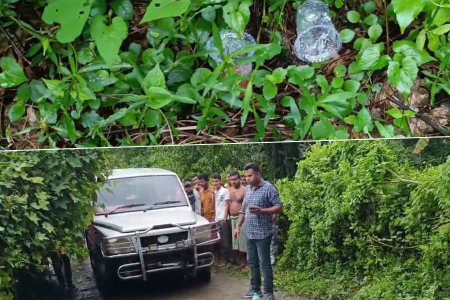 বারুইপুরে রাস্তার উপর যুবকের গলাকাটা দেহ উদ্ধারে চাঞ্চল্য