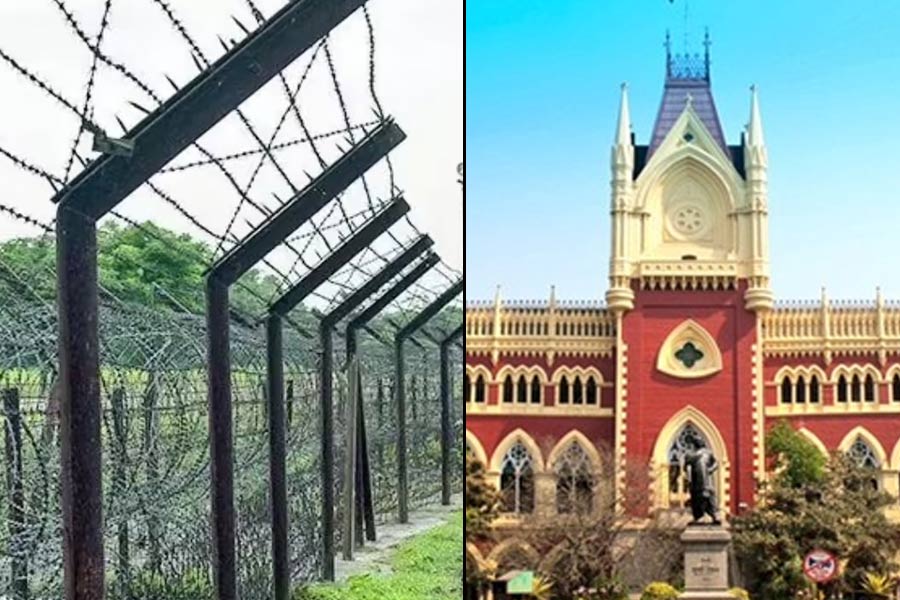 সীমান্তে কাঁটাতার বসানো নিয়ে রাজ্যের অনীহা! হলফনামা তলব হাই কোর্টের