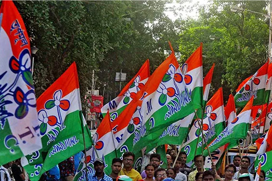 এসআইআর আতঙ্কে ‘চরম সিদ্ধান্ত! অপ্রীতিকর ঘটনা এড়াতে উলুবেড়িয়ায় নতুন উদ্যোগ তৃণমূলের