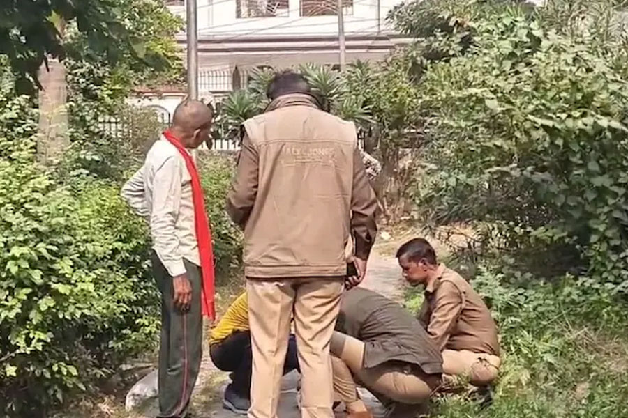 রক্তমাখা পুঁটলি মুখে ছুটছিল পথকুকুর, খুলতেই উদ্ধার সদ্যোজাতর মুণ্ডুহীন দেহ