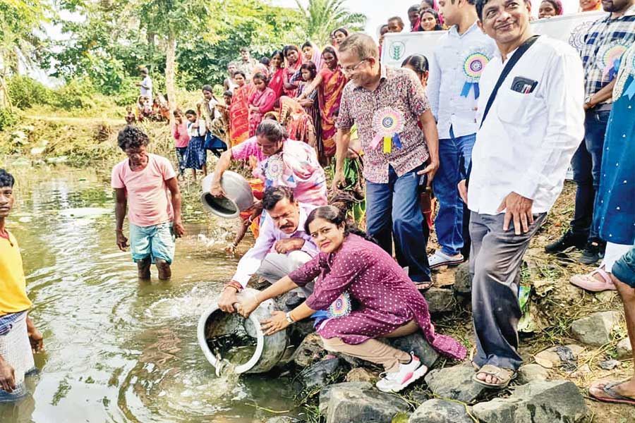 মিড-ডে মিলের পাতে সুস্বাদু টাটকা মাছ দিতে প্রাথমিক বিদ্যালয়ের উদ্যোগে মৎস্য প্রকল্প পুরুলিয়ায়