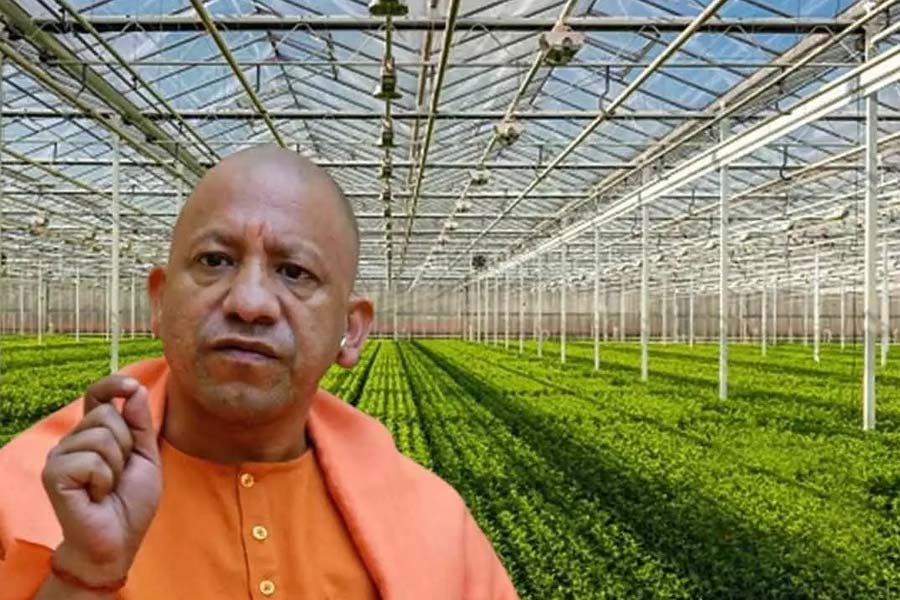 এআই প্রযুক্তির হাত ধরে কৃষিতে বিরাট পরিবর্তন, উত্তরপ্রদেশে অভিনব উদ্যোগ যোগীর