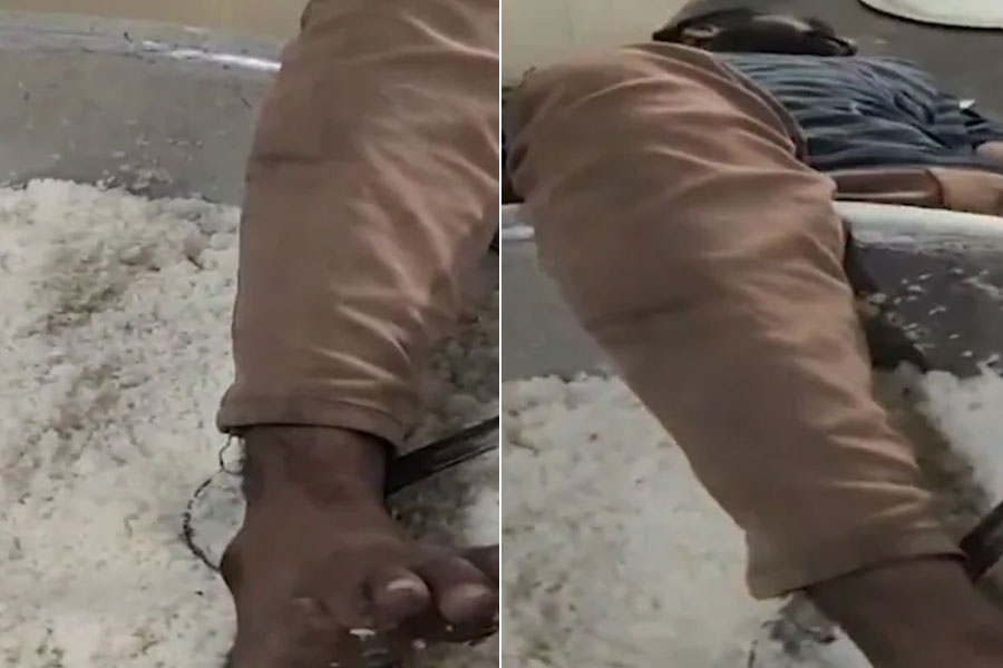 ভাত ভর্তি গামলার মধ্যে ঘুমাচ্ছেন মদ্যপ কর্মী! হস্টেলের ক্যান্টিনের ভিডিও দেখে স্তম্ভিত নেটপাড়া