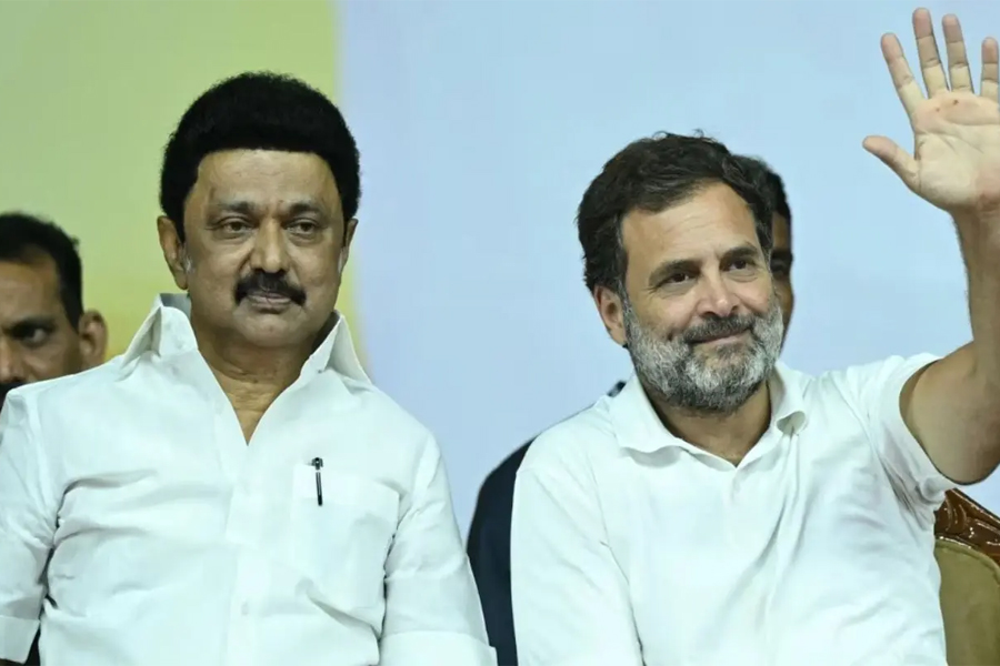 বিহারের ভরাডুবি থেকে শিক্ষা, ২০২৬-এর নির্বাচন নিয়ে তামিলনাড়ুতে প্রস্তুতি শুরু কংগ্রেসের