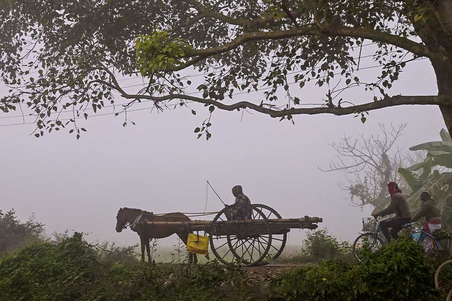 ঝুলিতে শীত নিয়ে আসবেন সান্তা! পারদ নামার বার্তা হাওয়া অফিসের