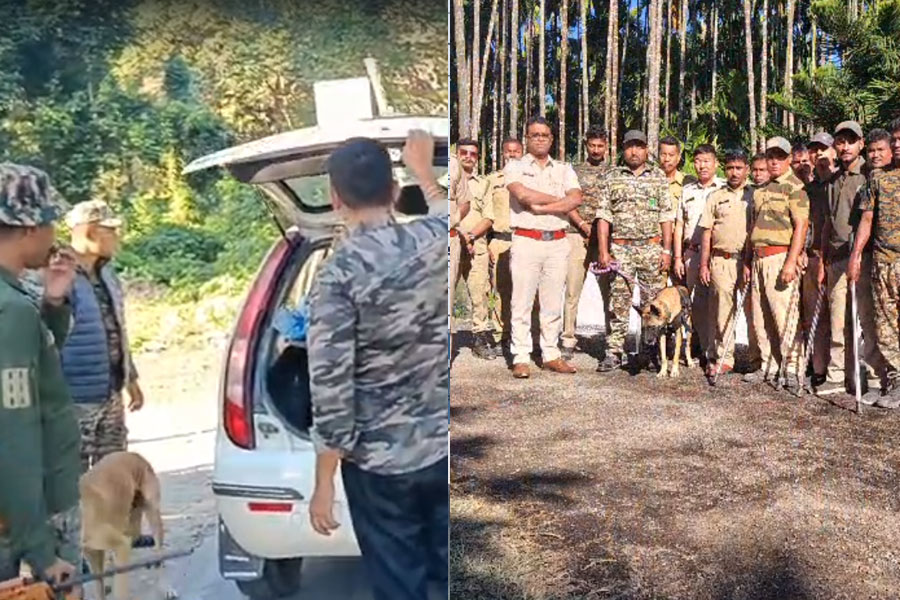 জলদাপাড়ায় চিরুনি তল্লাশি, নামল সশস্ত্র বাহিনী! কী হল জাতীয় উদ্যানে?