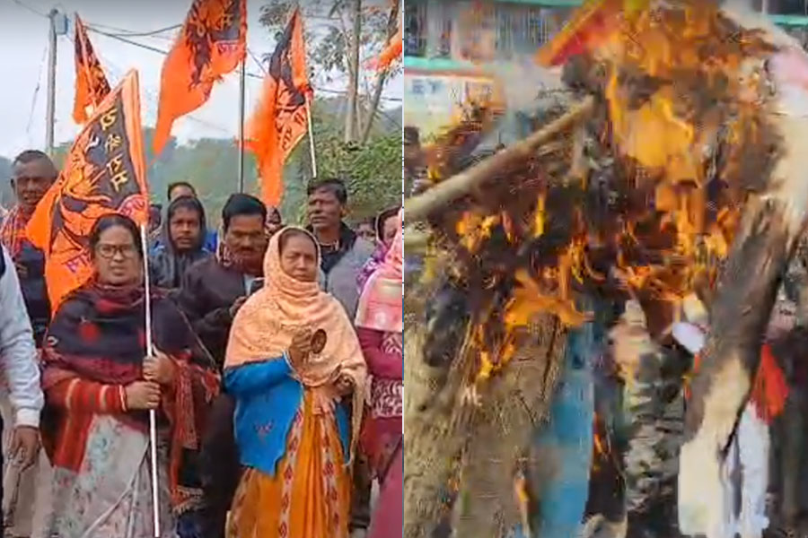 বাংলাদেশে হিন্দু নিধনে মালদহ ও বনগাঁ সীমান্তে বিক্ষোভ, পুড়ল কুশপুতুল
