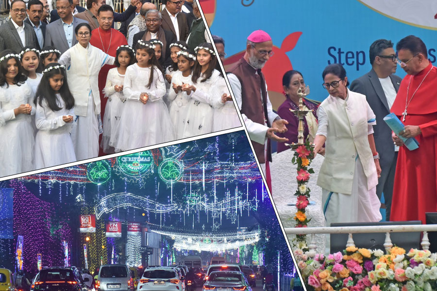 আলো ঝলমলে পার্ক স্ট্রিট, অ্যালেন পার্কে ক্রিসমাস কার্নিভালের সূচনা মুখ্যমন্ত্রীর
