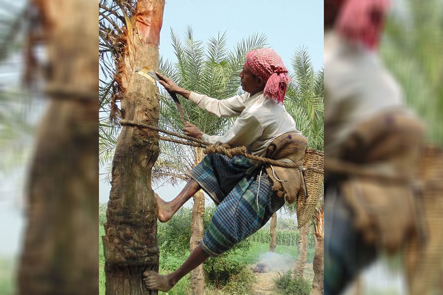 রাজনৈতিক অস্থিরতায় দেখা নেই রাজশাহীর আবদুল-কামালদের! নলেন-পাটালিগুড়ের গন্ধে ভরবে না তিস্তাপাড়