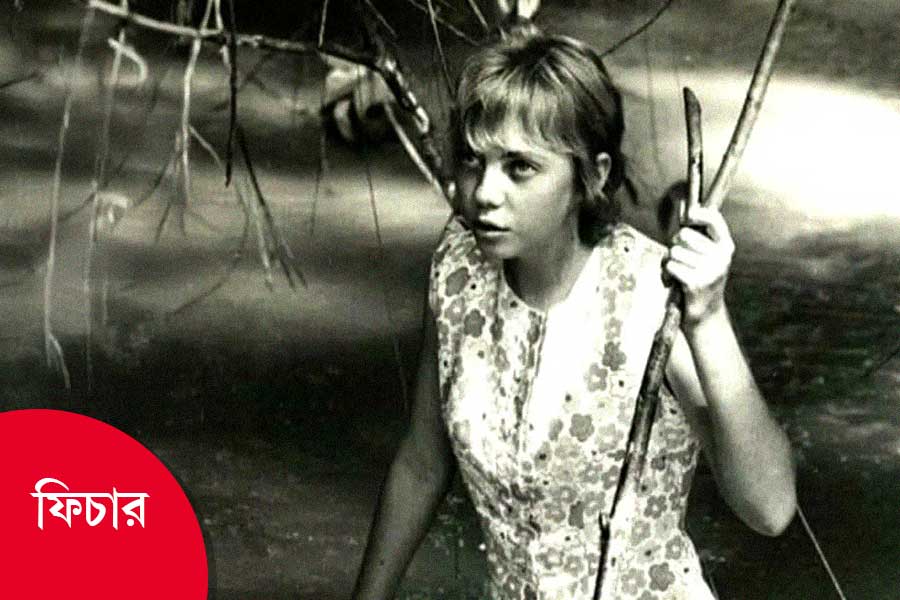 যে মেয়েটা আকাশ থেকে পড়েছিল! অবাক করে আমাজনের নিঃসঙ্গ কিশোরীর কাহিনি