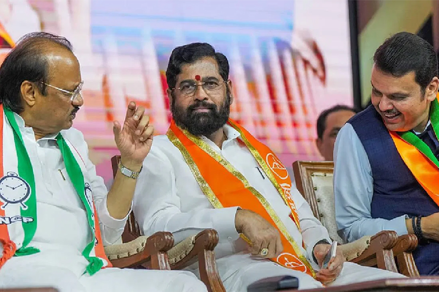 মহারাষ্ট্রর স্থানীয় নির্বাচনে জয়জয়কার বিজেপি নেতৃত্বাধীন মহাজুটির, টিমটিম করে জ্বলছে কংগ্রেস
