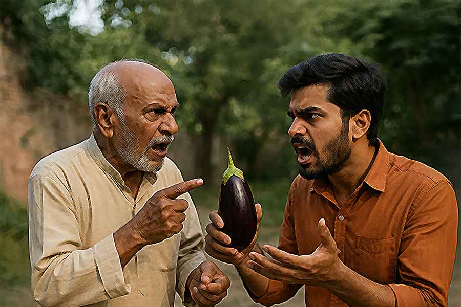বেগুন তোলা নিয়ে বচসা! সাতসকালে মুর্শিদাবাদে ভাই ও ভাইপোর হাতে ‘খুন’ প্রৌঢ়