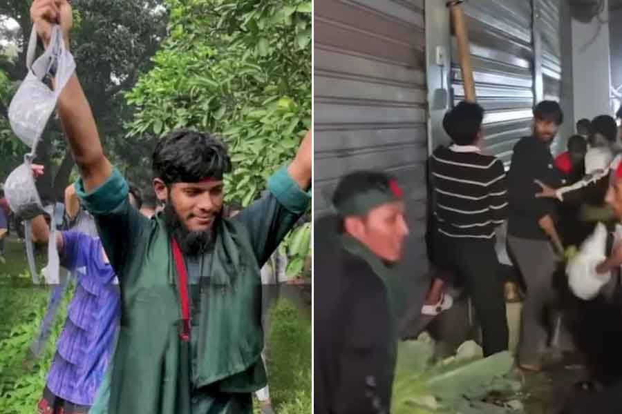 সেবার চুরি গেছিল হাসিনার অন্তর্বাস, এবার ফুলকপি লুটে নিল হাদি ভক্তরা! এ কেমন বাংলাদেশ?