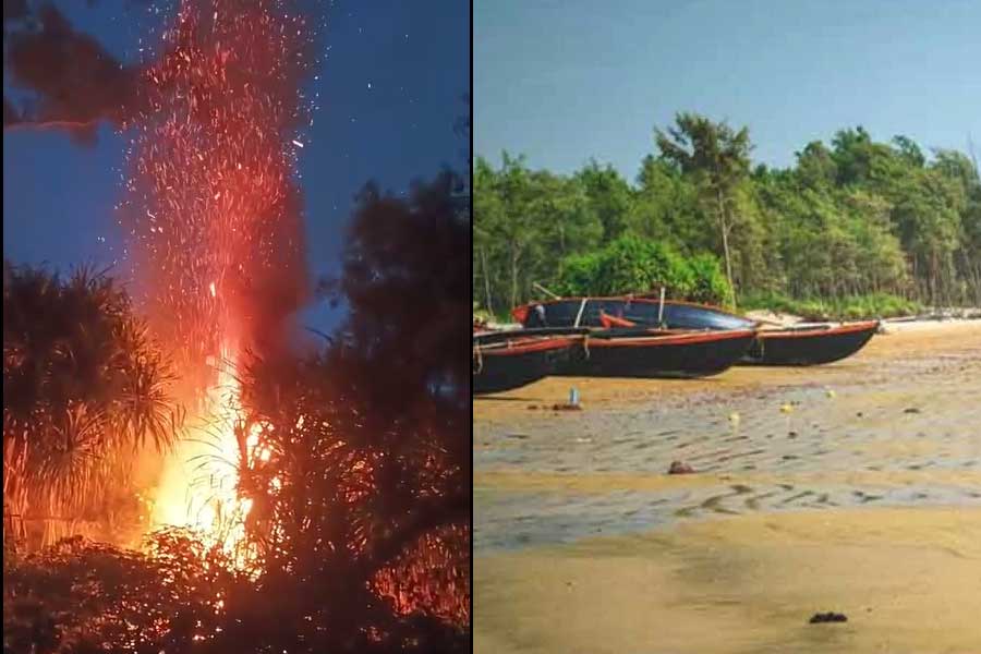 দিঘার তাজপুর সৈকতে ভয়াবহ আগুন, দাউদাউ করে জ্বলছে কেয়া বন, অভিযুক্ত পিকনিক পার্টি