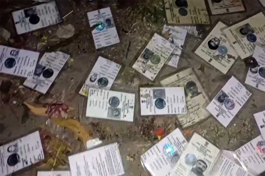 এসআইআর আবহেই নবদ্বীপে ড্রেন থেকে উদ্ধার একাধিক ভোটার কার্ড! শুরু রাজনৈতিক তরজা
